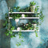 String Pocket Shelf 60x50x15cm
